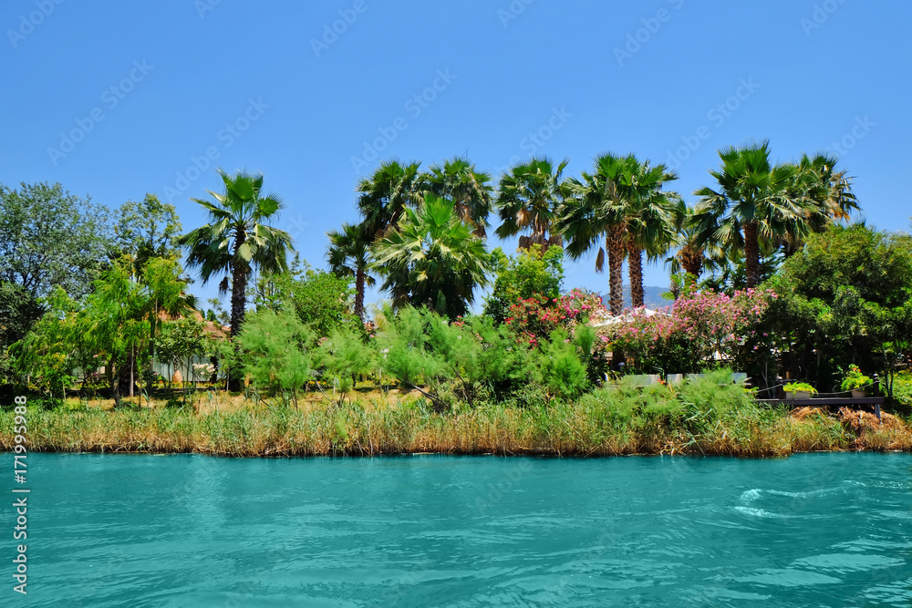Picturesque view of river on sunny summer day