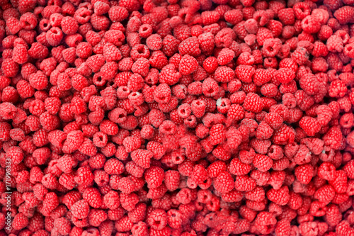 Delicious raspberries as background