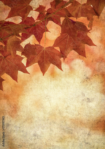 grunge background with autumn leaves