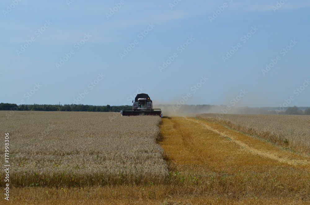 Fototapeta premium tractor