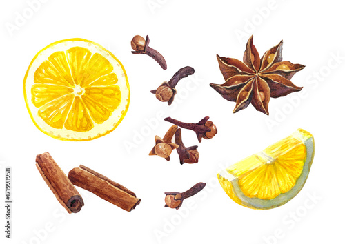 Lemon and winter spices isolated on white watercolor illustration  photo