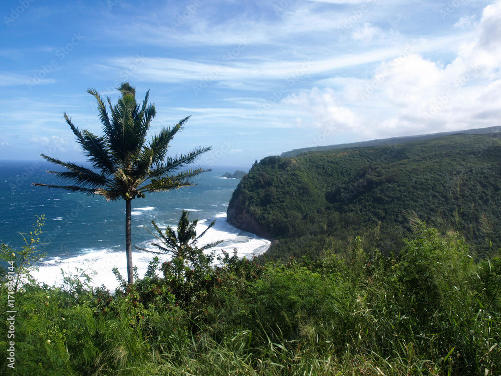 Hawaii Big Island Landscapes-9