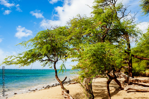 Makena State Park beach, Maui island, Hawaii photo