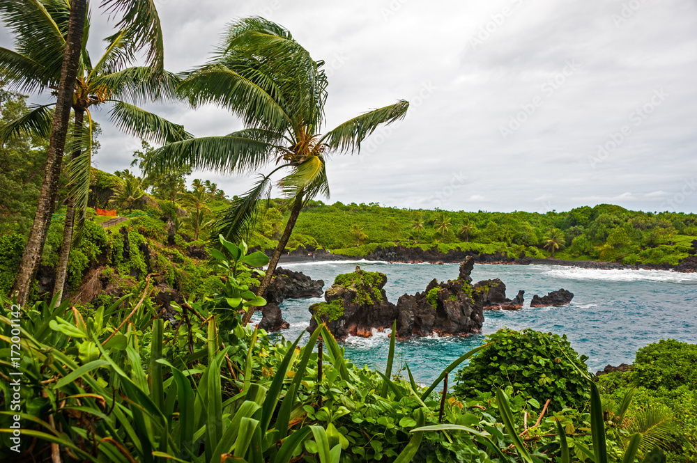 Waianapanapa State Park on Maui island of Hawaii is featuring black ...