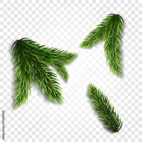 Collection of Fir Branches. Set of Realistic Detailed Christmas tree branches. Symbol of Christmas and New Year isolated on white background for your design. Vector illustration