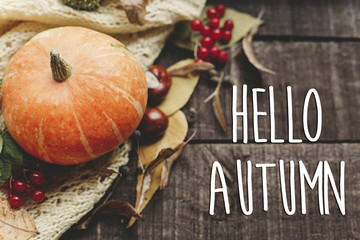 hello autumn text, greeting card. fall image flat lay. beautiful pumpkin and leaves and berries on sweater on rustic wooden background, top view. cozy autumn mood