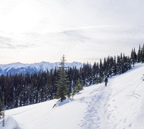 Woman snowshoes on Hurricane Ridge, Olympic National Park