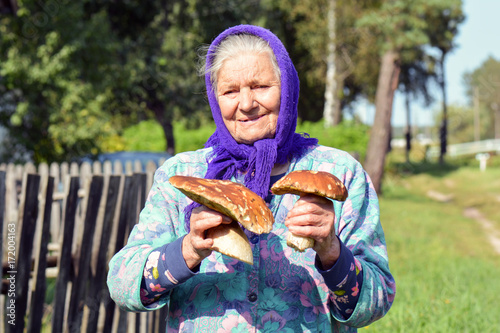 Old woman with mushrooms in her hands. Grandmother gathers mushrooms in the village.
