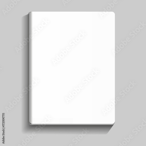 Box, walls for your design and logo. Packaging in front view. Vector illustration. Mock Up.