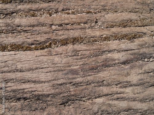 old wooden beam, close up with a good visible structure and scratches