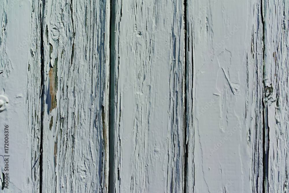 Fototapeta premium Gray old wooden plank texture, background, wallpaper, template