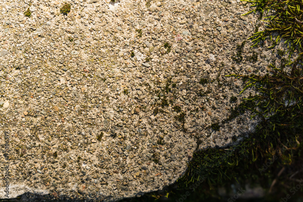 Close up of weathered outdoor concrete in the woods Close up of weathered outdoor concrete in the woods