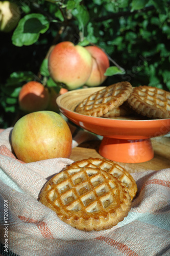 Traditional Dutch autumn apple filled cookies server in the garden under apple tree with big ripe apples