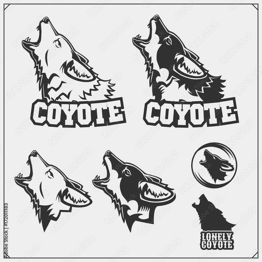 Fototapeta The emblems with coyote for a sport team.