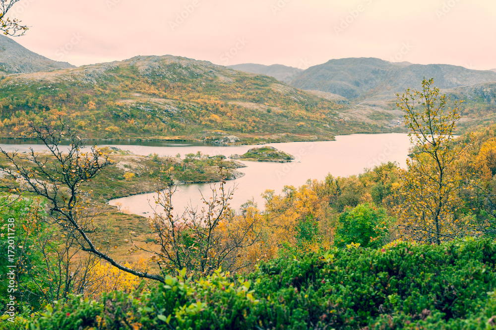 Small lake in the Scottish highlands surrounded by vegetation