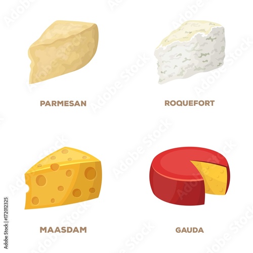 Parmesan, roquefort, maasdam, gauda.Different types of cheese set collection icons in cartoon style vector symbol stock illustration web.