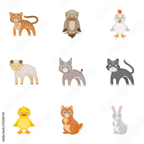 Farm, zoo, ecology and other web icon in cartoon style.Marsupial, Australia, nature icons in set collection.