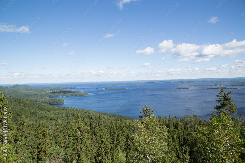 Forest and lake Pielisjärvi landscape on the mountain Koli, summer 
