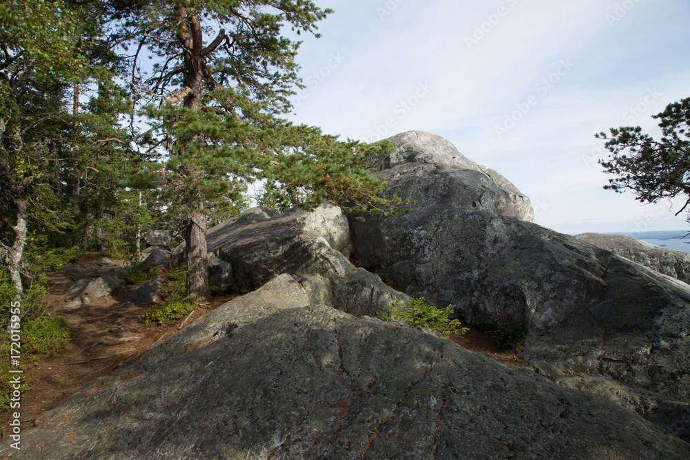 Landscape on the mountain Koli, summer 