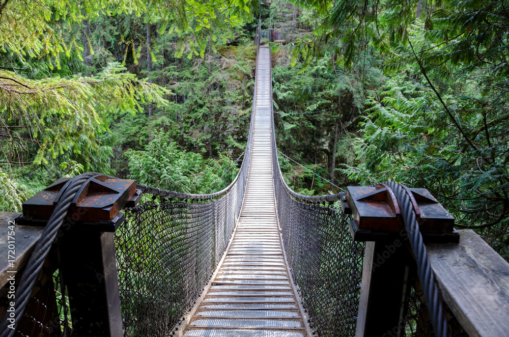 Fotografie Suspension bridge high above the forest floor
