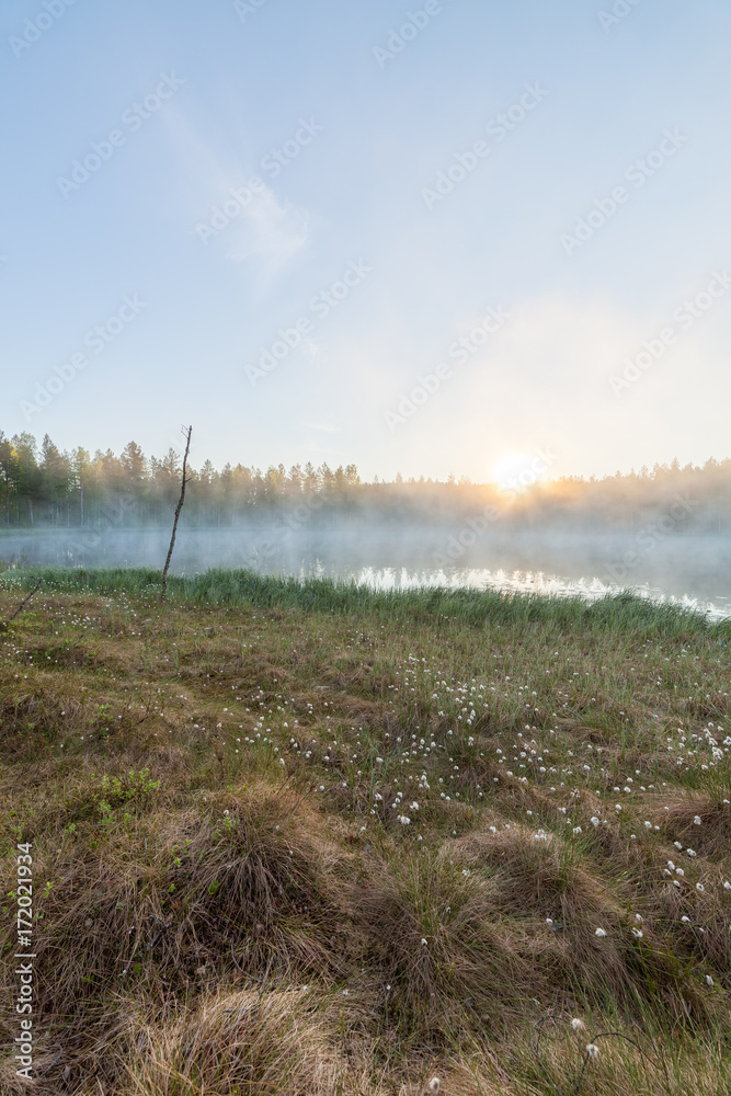 Small foggy forest lake at sunrise summer morning
