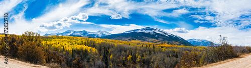 Kebler Pass, CO Aspen Changing Color Gold, Autumn