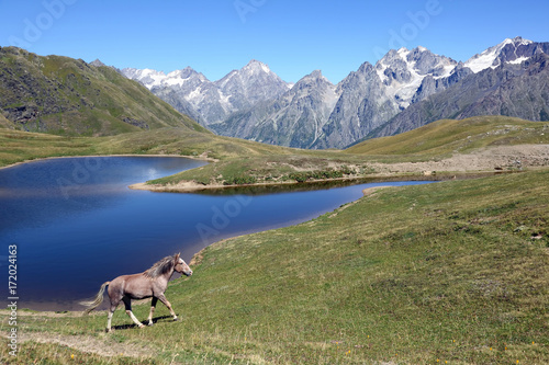 the horse walking on the grass near the lake with mountains in the background.
