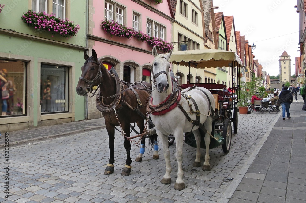 Brown and white Horses are harnessed to carts for driving tourists In Rothenburg ob der Tauber, Germany. Brown and white Horses are harnessed to carts for driving tourists In Rothenburg ob der Tauber, Germany.