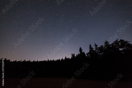 Clear starry night sky and forest silhouette