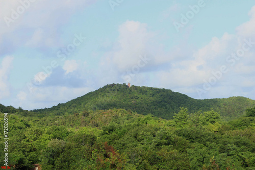 LE PHARE DANS SON ECRIN DE VERDURE