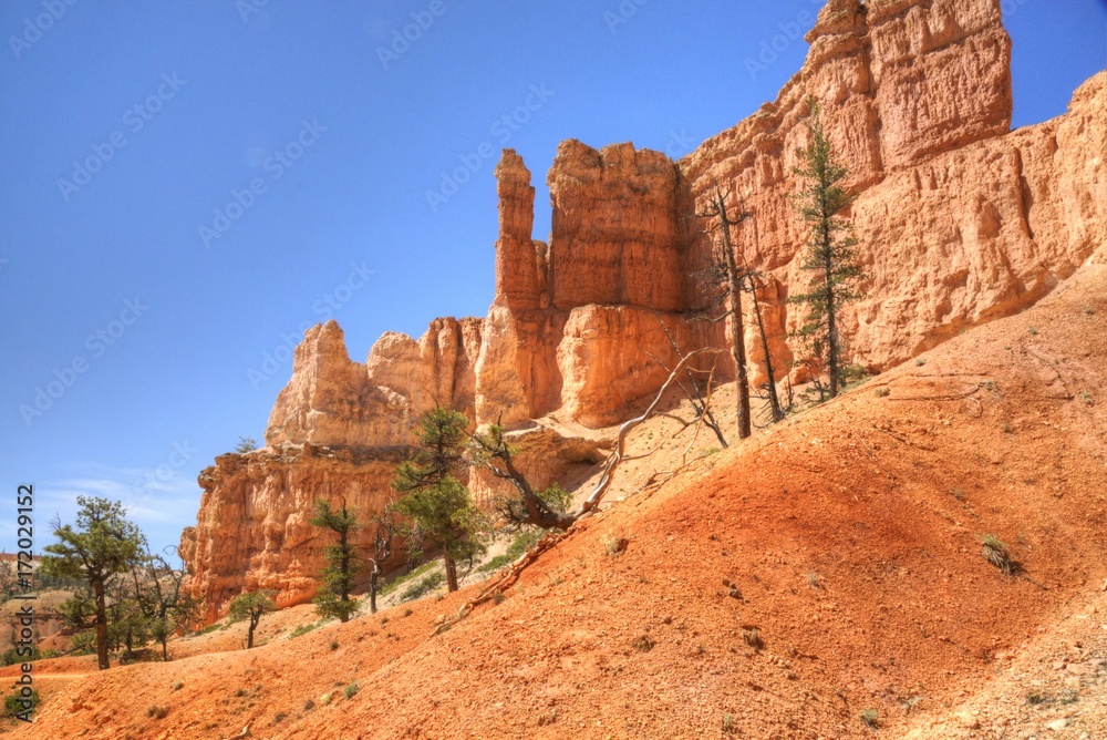 Bryce Canyon Hoodoos From Below