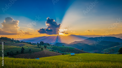 Fototapeta Naklejka Na Ścianę i Meble -  landscape staircase rice field with beautiful light of sky in thailand of asia
