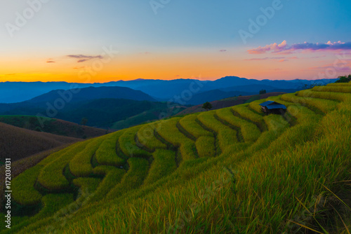 landscape staircase rice field with beautiful light of sky in thailand of asia