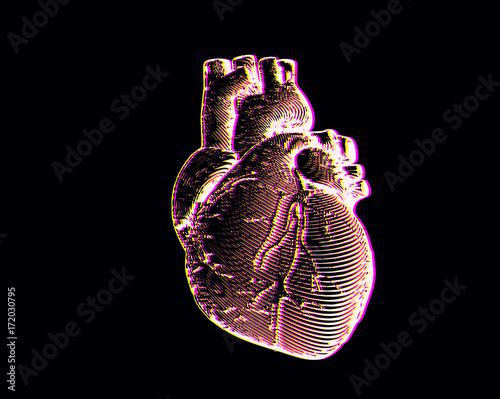 Engraving human heart illustration isolated on black BG