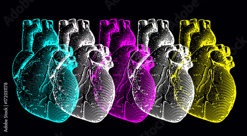 Engraving human heart illustration set isolated on black BG