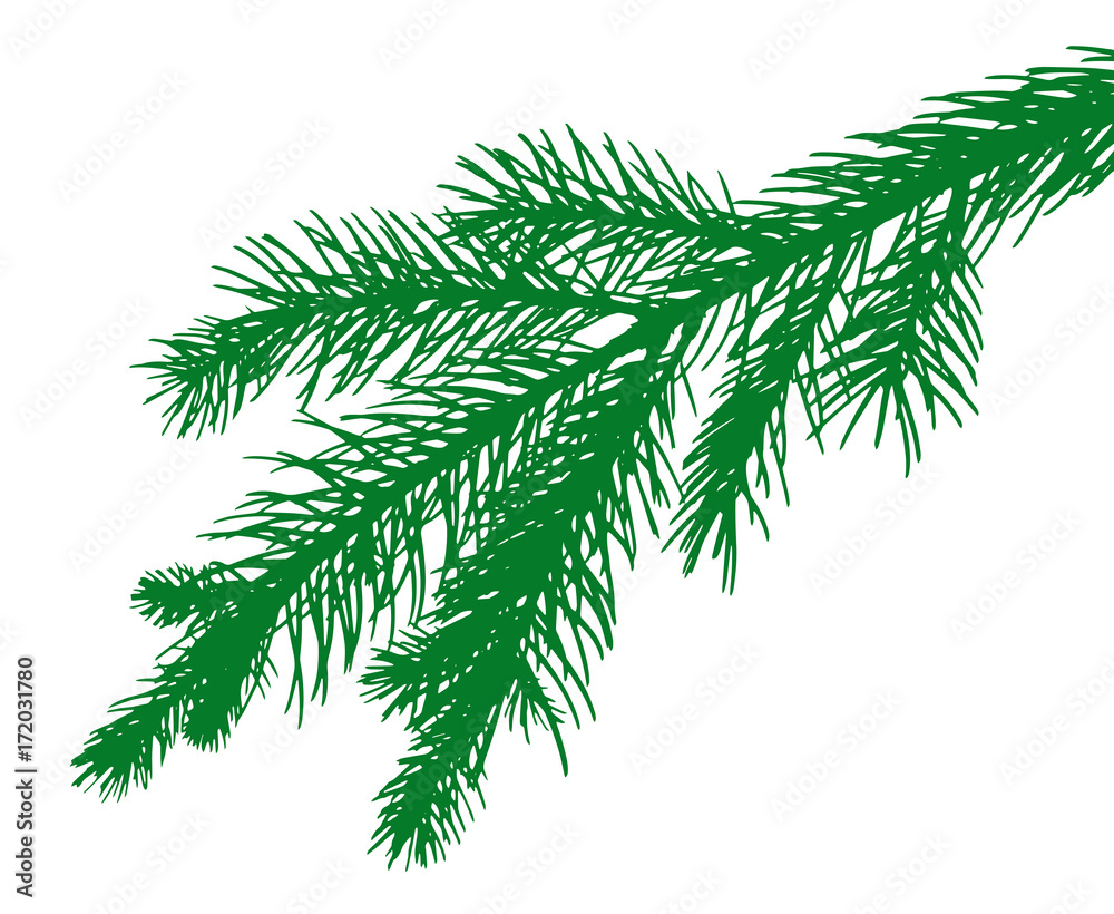 Obraz premium pine tree's leaves silhouette 