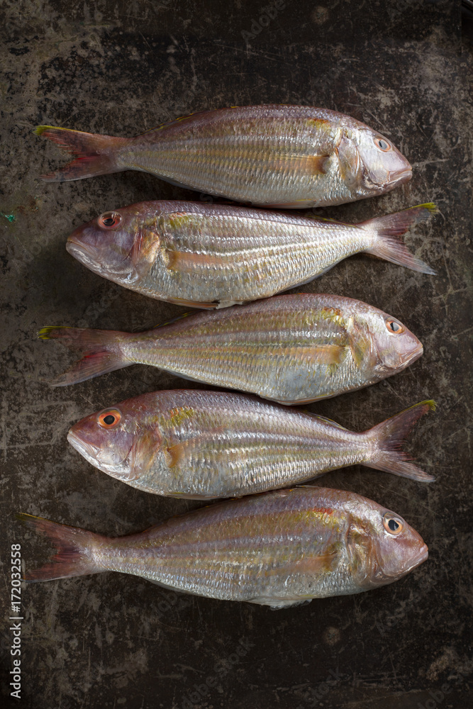 Raw Sea bream fish on metal background, top view Raw Sea bream fish on metal background, top view