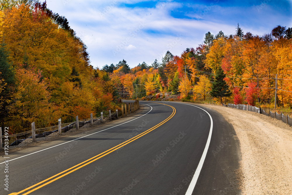 A road in the middle of fall trees