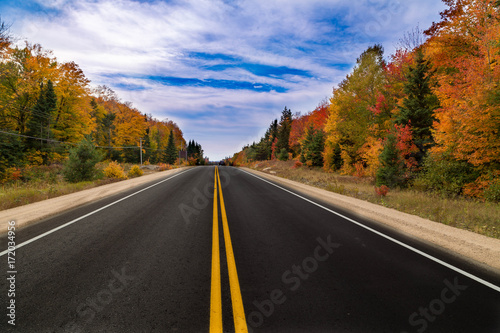 A road in the middle of fall trees © emranashraf