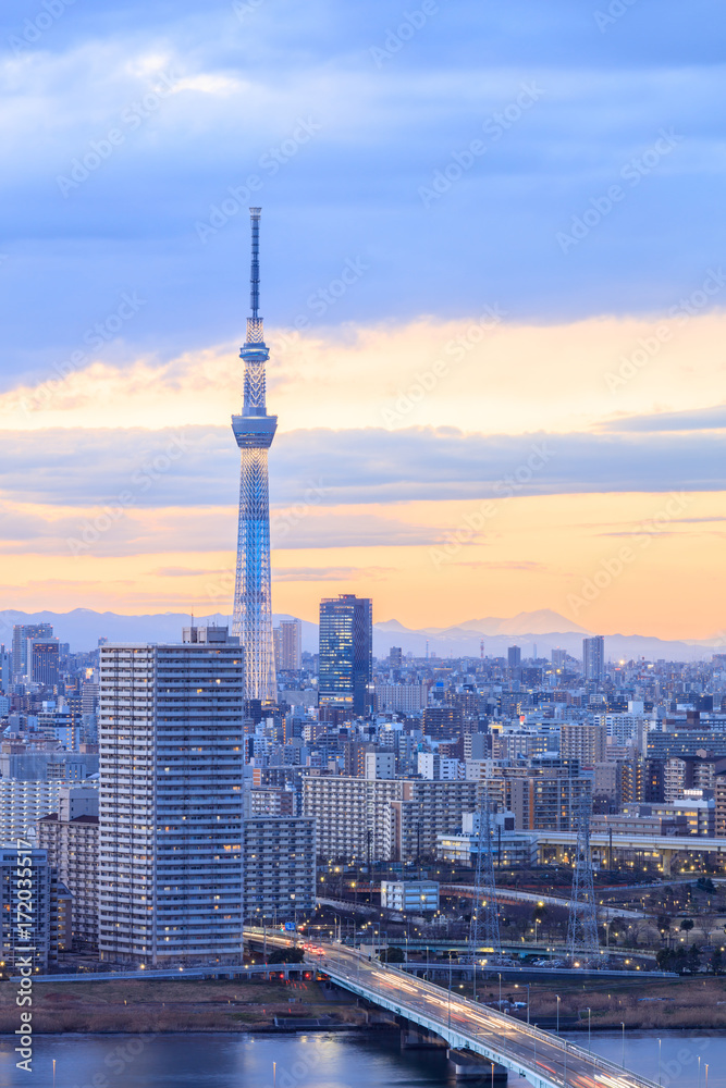 view of tokyo city with tokyo sky tree at sunset time