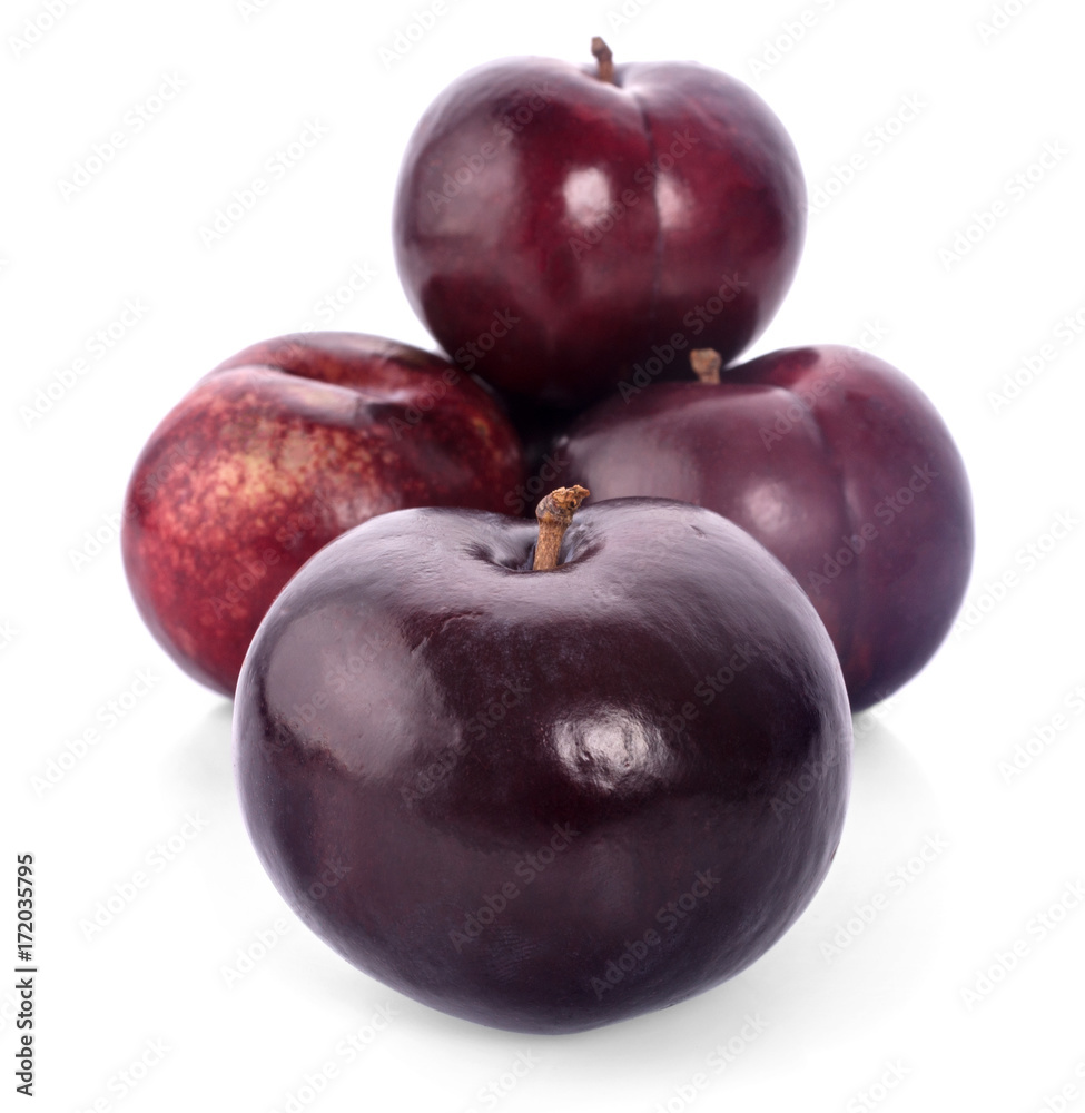 plum on a white background.