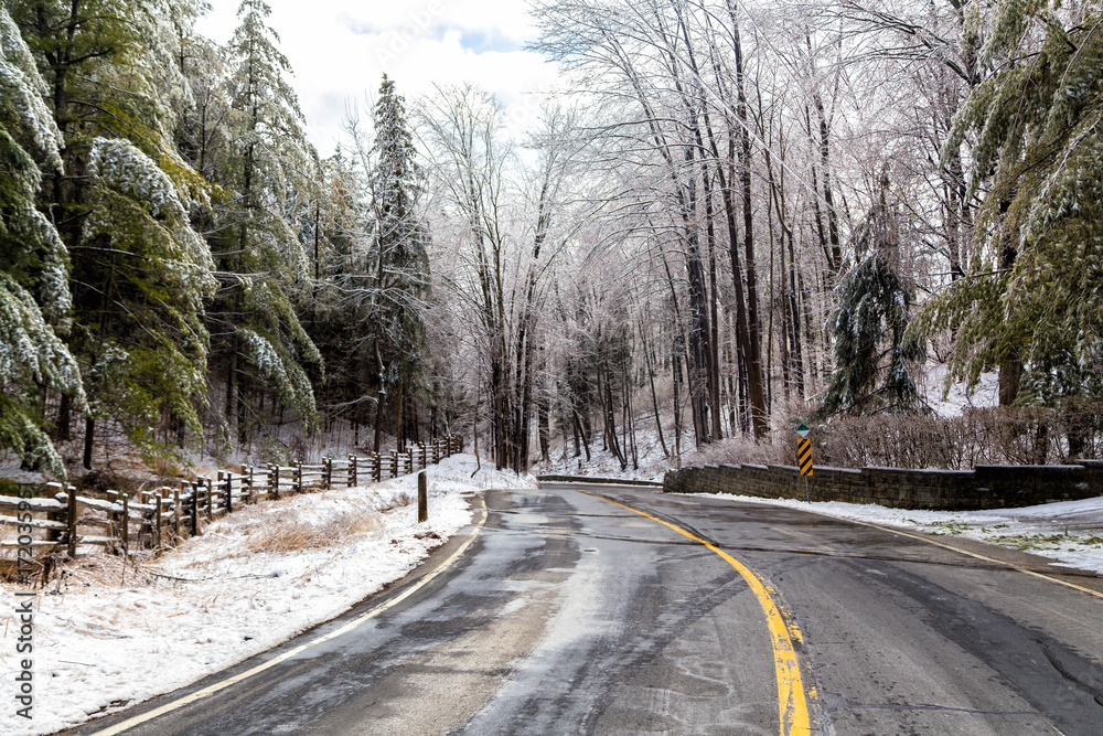 Fototapeta premium A road in the middle of icy trees