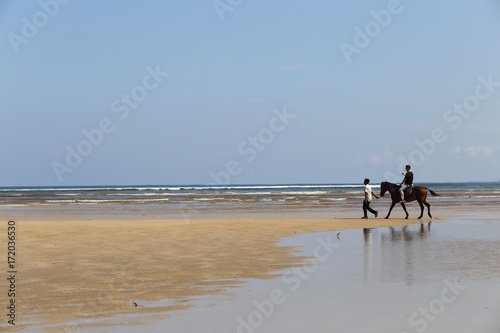 Man Riding Horse on beach ocean wave and horse feeder