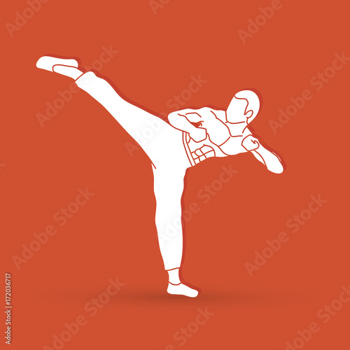 Kung fu, Karate kick graphic vector