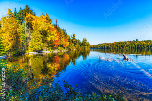Fototapeta Naklejka Na Ścianę i Meble -  Fall Trees with reflection in lake
