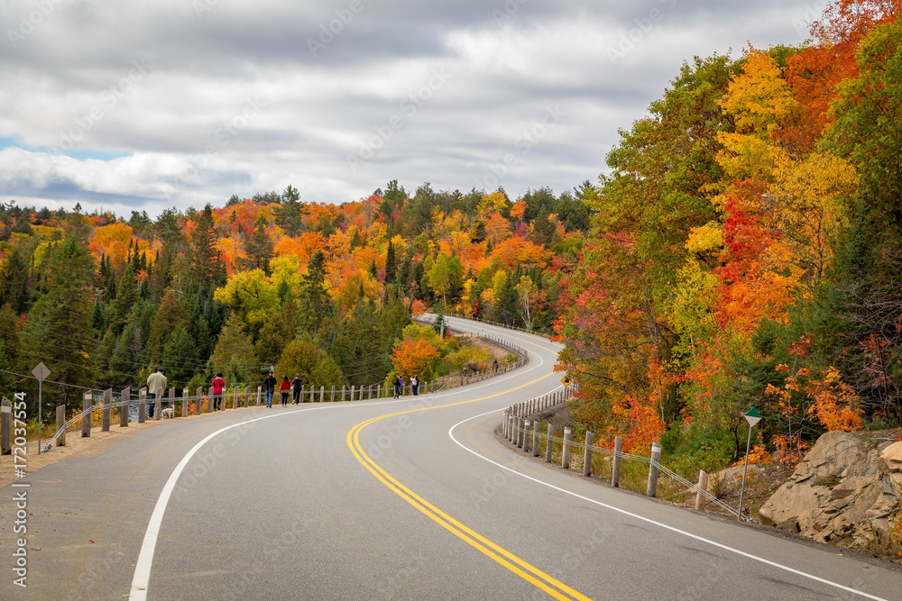 A turning road with fall trees A turning road with fall trees