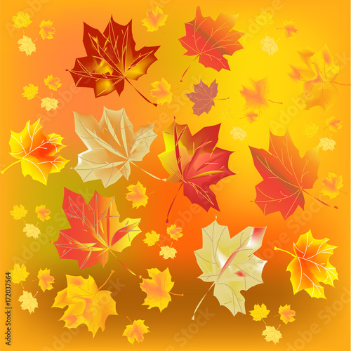 Multicolored autumn leaves on a bright background. Beautiful autumn background. Vector illustration.