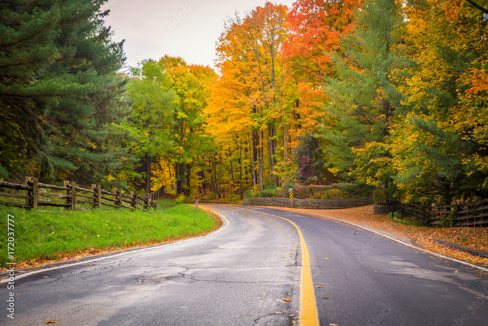 Fototapeta premium Turning road with fall trees