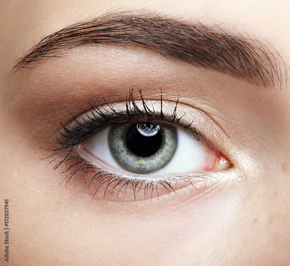 Naklejka premium Zbliżenie makro- portret żeńska twarz. Ludzkie oko dziewczyna z dnia piękno makijażu. Kobieta z doskonałą skórą i piegami