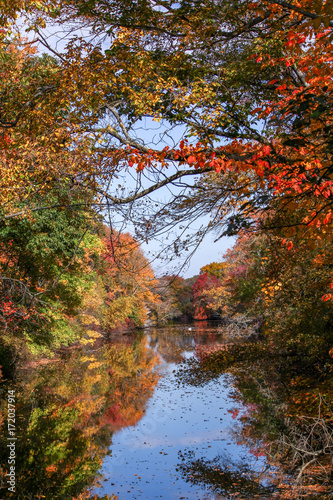 View of a river framed by fall foliage